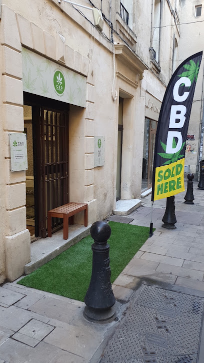 Cbd Arles Boutique De Cigarettes Électroniques à Arles